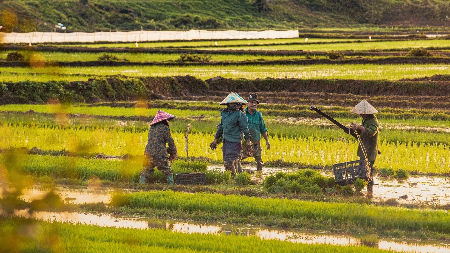 Agricultural tourism in Northern Vietnam