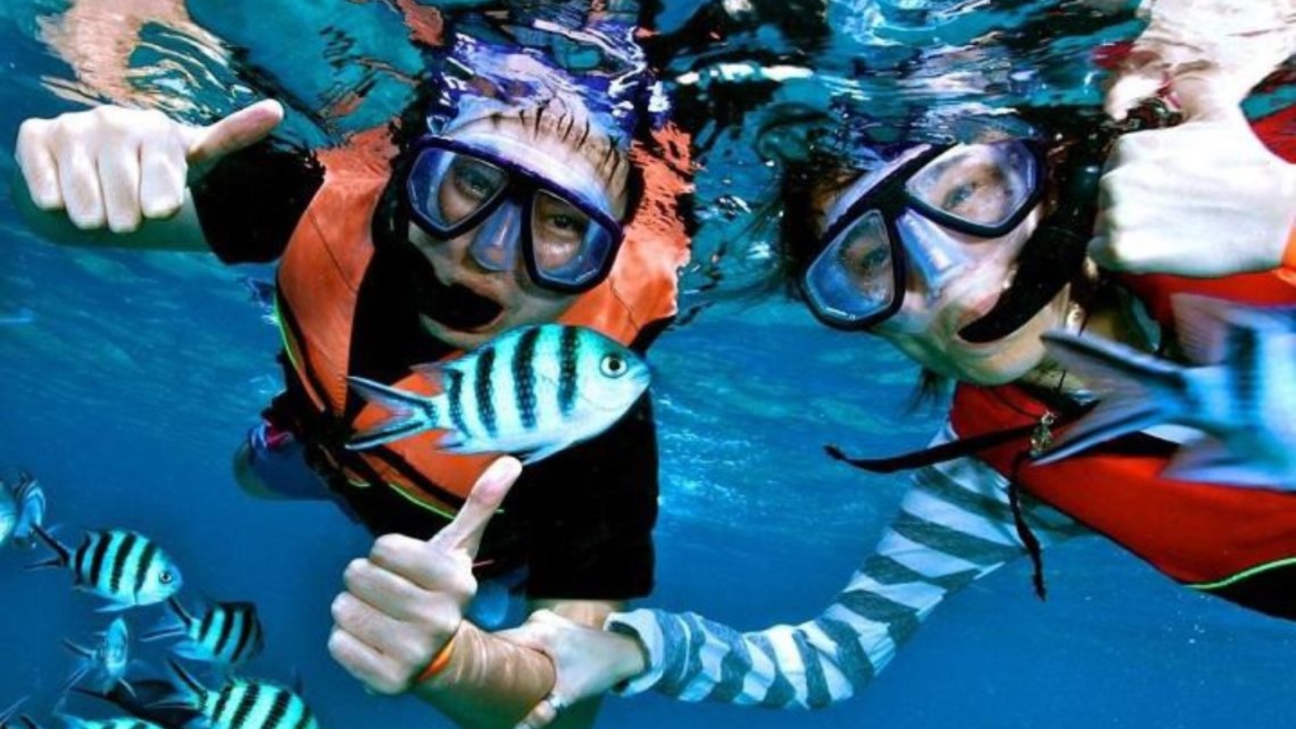 Why should we ​go snorkeling in cent​ral Vietnam?