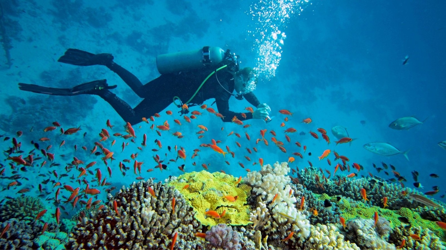 What tips should you follow for snorkelling in central Vietnam?