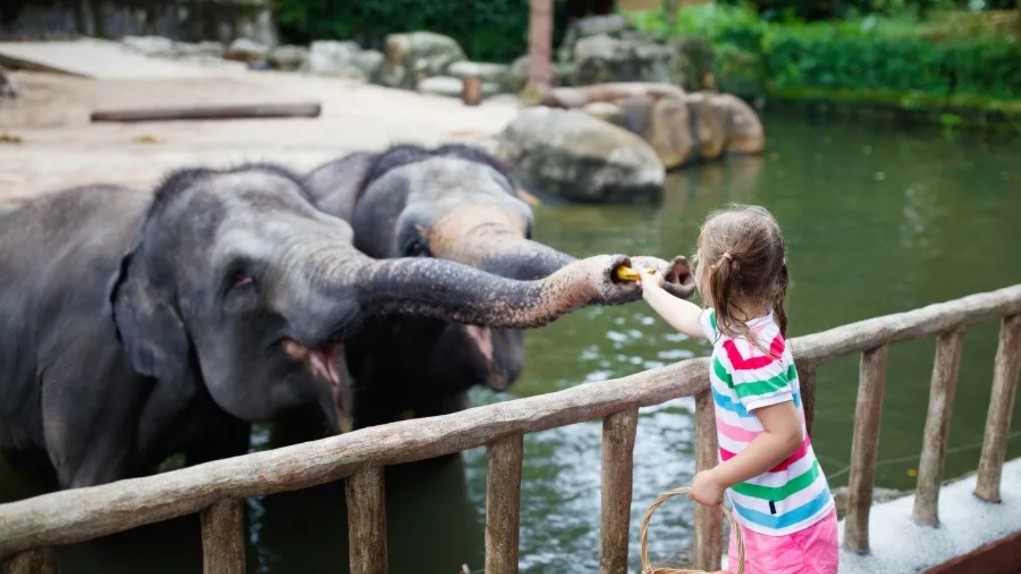 Laos family trip cost