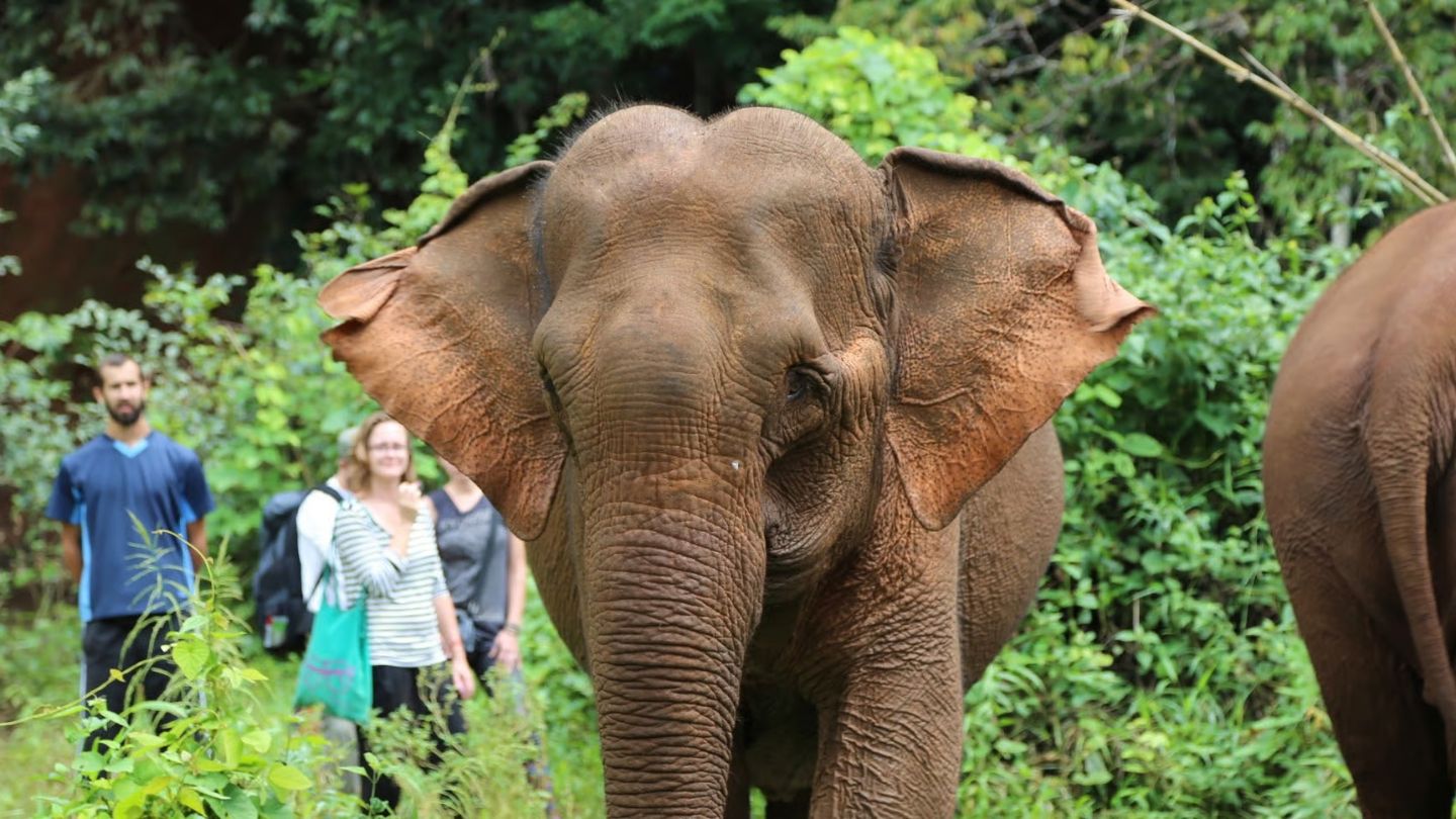 5-day trip to Mondulkiri in couple
