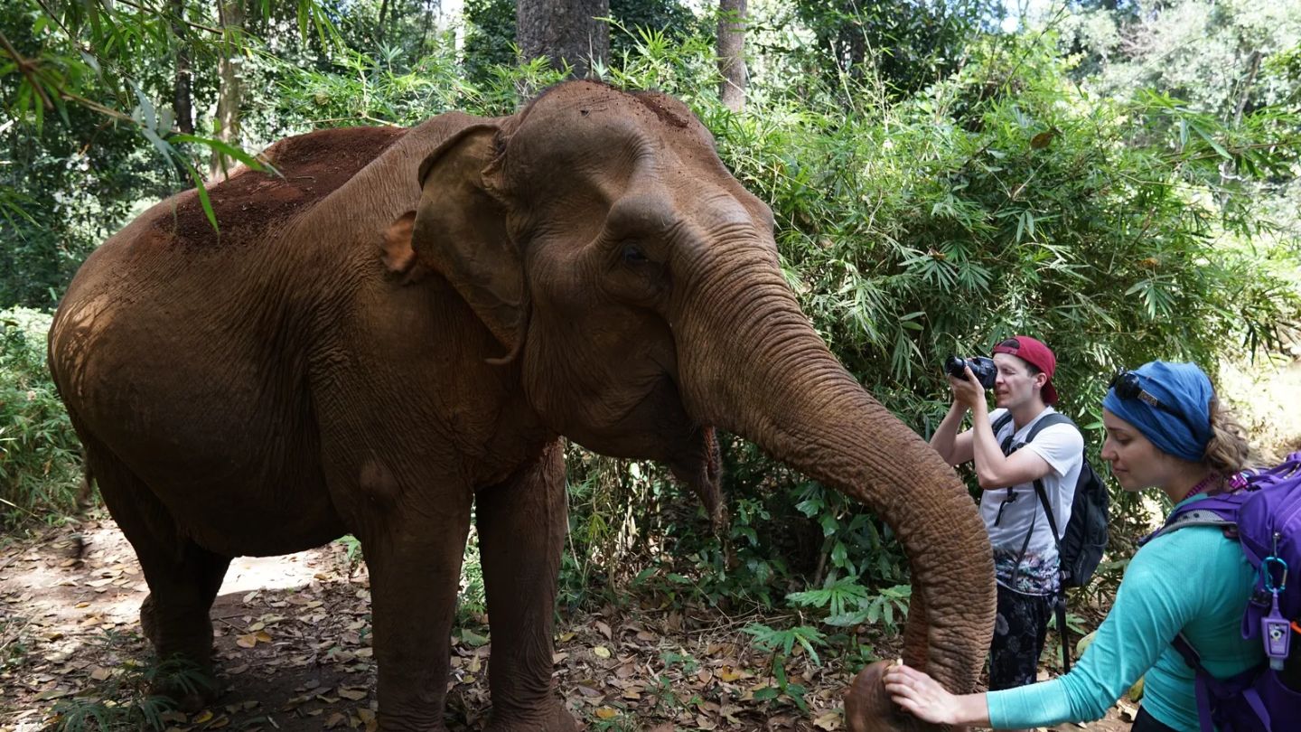 Elephant Valley Project