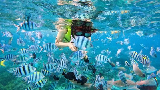 Where to go snorkeling in central Vietnam?