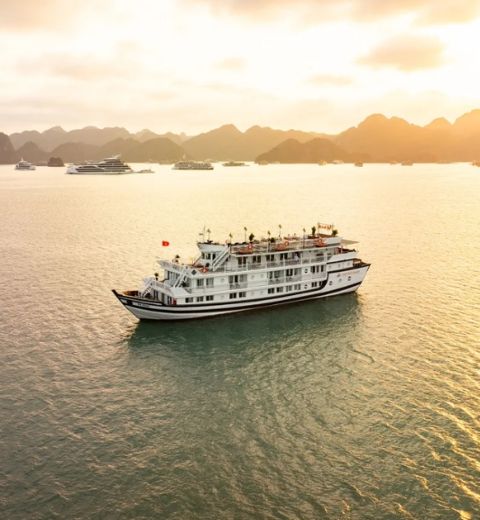 Cozy Bay Cruise Through Halong Bay
