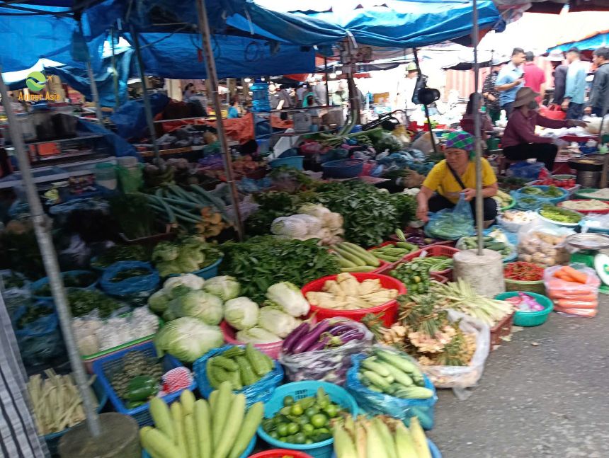Discover Vietnam Through Authentic Travel Experiences with Autour Asia 4