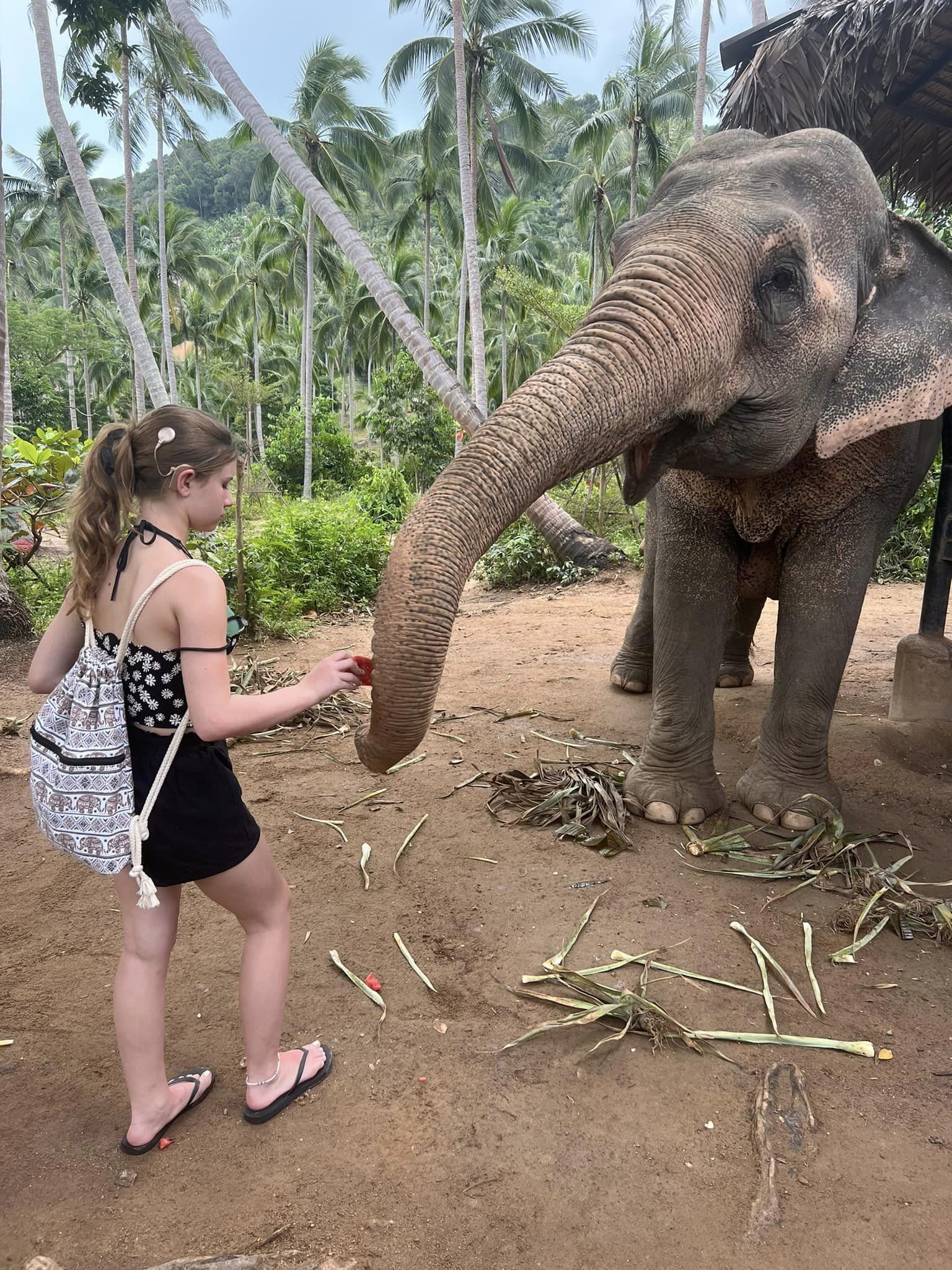 3-ChiangMai-ChiangRai-Elephant-Trekking