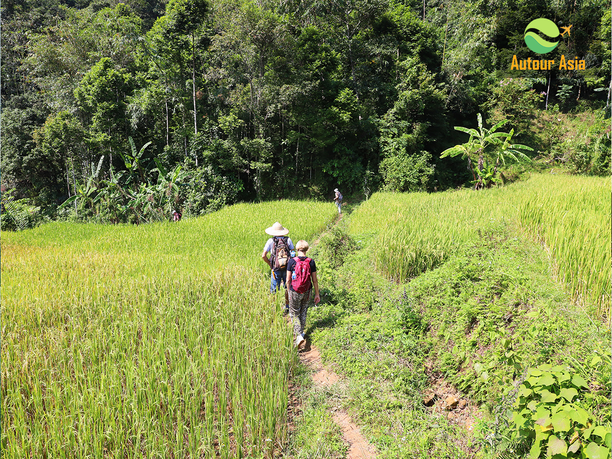 1200-9-Trekking-in-Mai-Chau