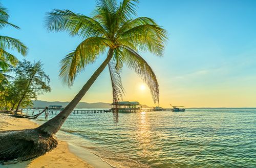Free Days In Phu Quoc Island