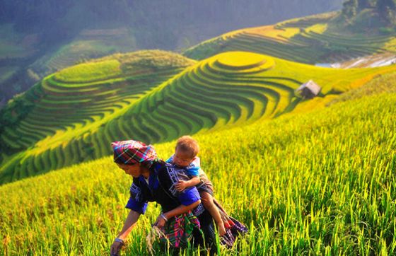 Frequently Asked Questions For Traveling To Vietnam