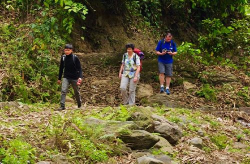 Ba Be National Park - Medium Level Trekking & Cruise (B ; Picnic ; D)