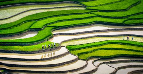 Hanoi - Nghia Lo