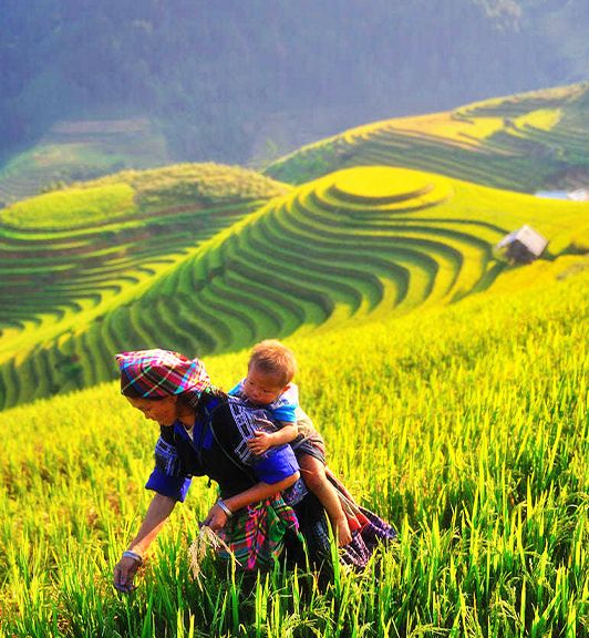 Route Photography - Rice fields of North Vietnam 12 Days 11 Nights