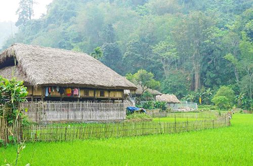 Tha Village – Hanoi (B)