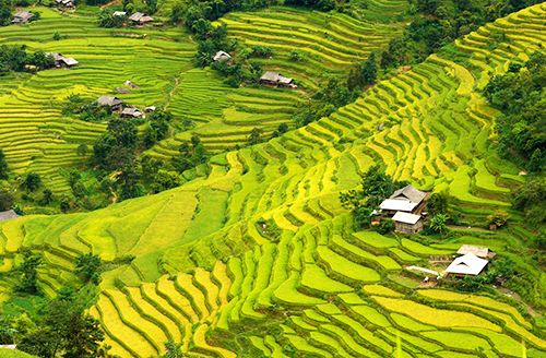 Hanoi - Hoàng Su Phì (Hà Giang) By Bus VIP (No-meals)