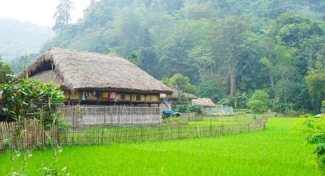 Tha village in Phương Độ, Ha Giang
