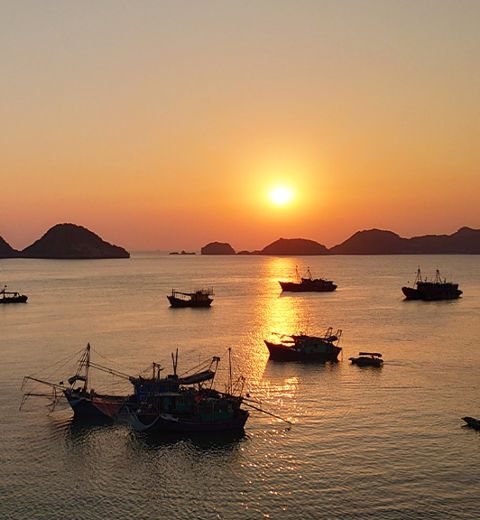 Cat Ba Tour Cruise, Kayak and Cycling 2 days 1 night