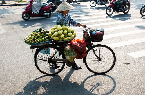 Hanoi - City Tour (B; L)