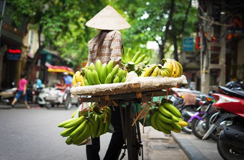 Hanoi City Tour (B; L)