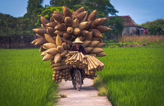 Thu Sy Village - A 200-Year-Old Bamboo Fish Trap Crafting Village