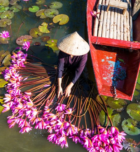 Ninh Binh boat tour (Tam Coc or Thung Nham) Full Day Trip