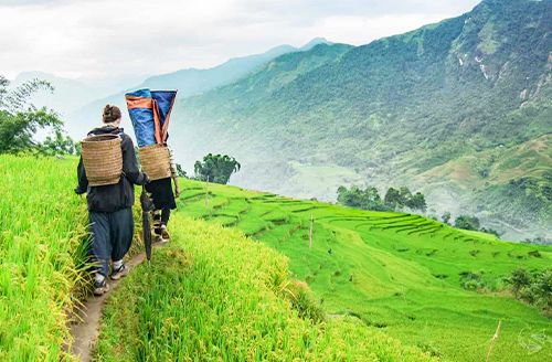 Sapa - Y Linh Ho Village - Lao Chai Village - Ta Van Village (Breakfast, Lunch, Dinner)