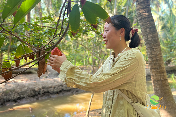 Fresh fruits garden in Mekong