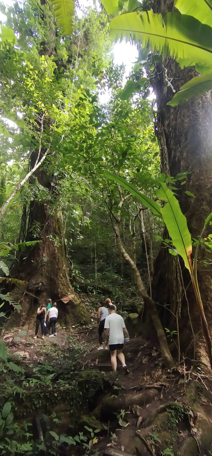 14-thailand-experience