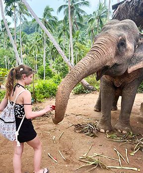 Explore Chiang Mai, Chiang Rai, Elephant Camp, Trekking