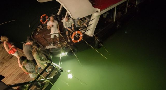 Squid fishing at night