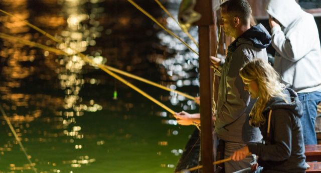 Squid fishing at night