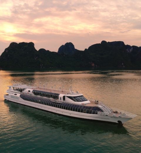 Paradise Delight Day Cruise In Halong Bay