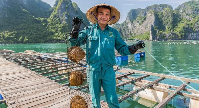 Meet locals in Pearl Farm
