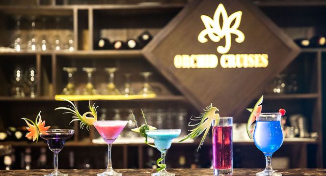 Minibar-orchid