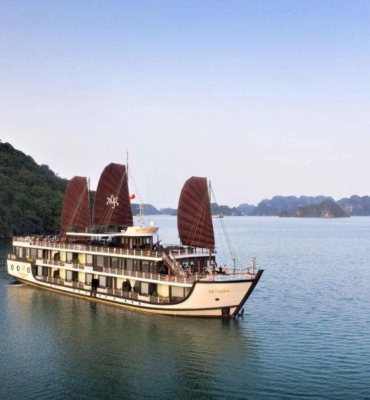 Orchid Trendy Cruise Boat Halong Bay
