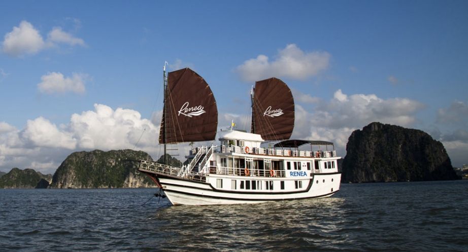 Overview about Renea Cruise