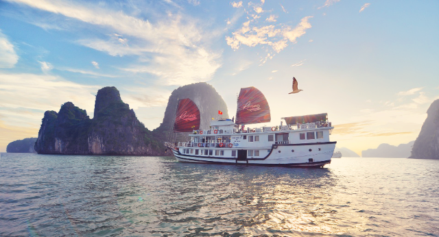 Renea cruise boat through Bai Tu Long Bay