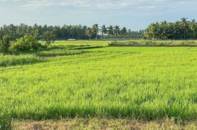 The Farming Village Ban Don Saingam (B,L,D)