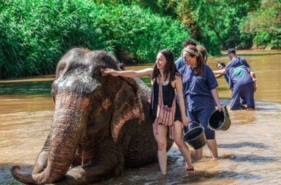 Pak Beng Elephant Sanctuary (B,L,D)