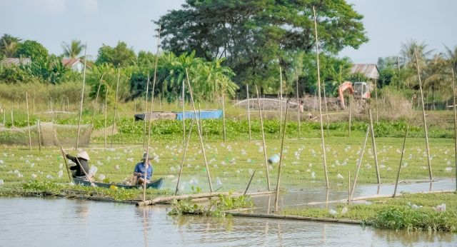 Take a look at the Mekong Delta lifestyle