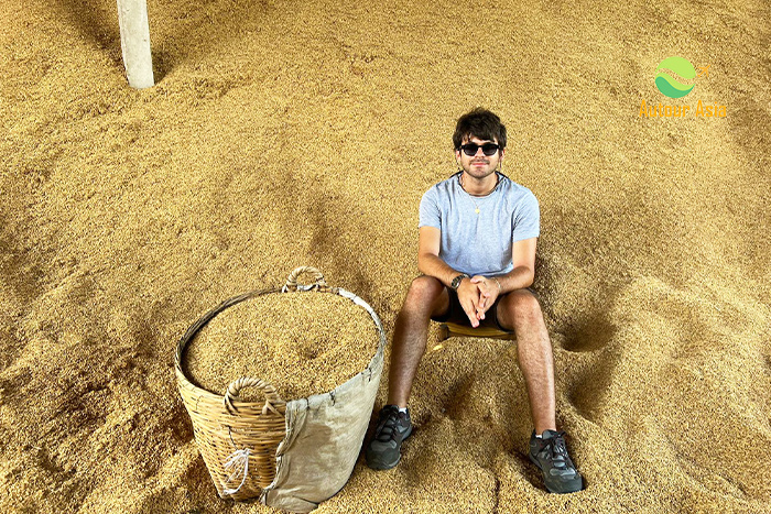 Rice warehouse in Mekong Delta