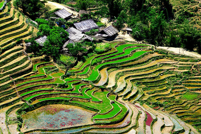 Pouring water season in Sapa