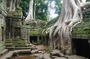 Discovery Of Angkor Thom - Bayon Temple - Angkor Wat (B, L)