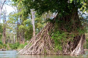 Preah Romkel – Laos Village – Koh Han (Mekong Island) (B; L)