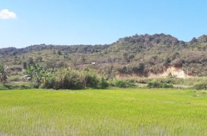 Xiengkhoang - Ban That Hium (187km - 6h By Car) (B/L)