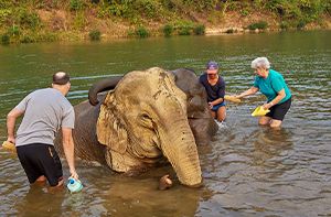 Luang Prabang - Elephant Village Camp - Tad Sae Waterfall (B/L)