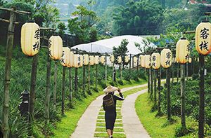 Pai – Mae Hong Son (B)