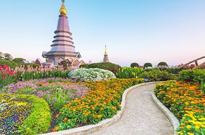 Chiang Mai City Tour & Doi Suthep (B)