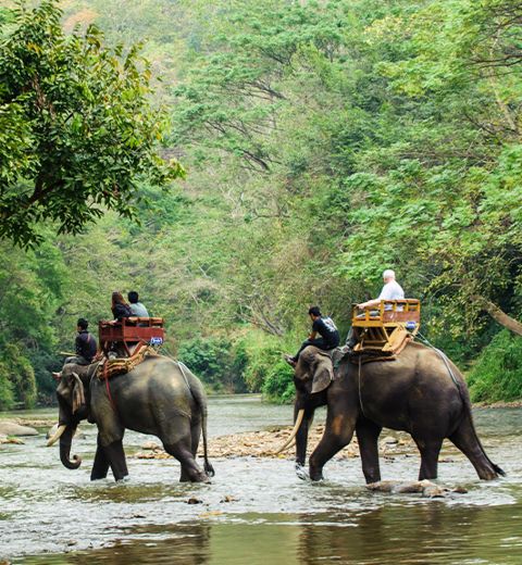 Chiang Mai Itinerary Tour 4 Days 3 Nights