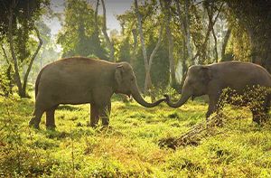 Chiang Saen – Departure (B)