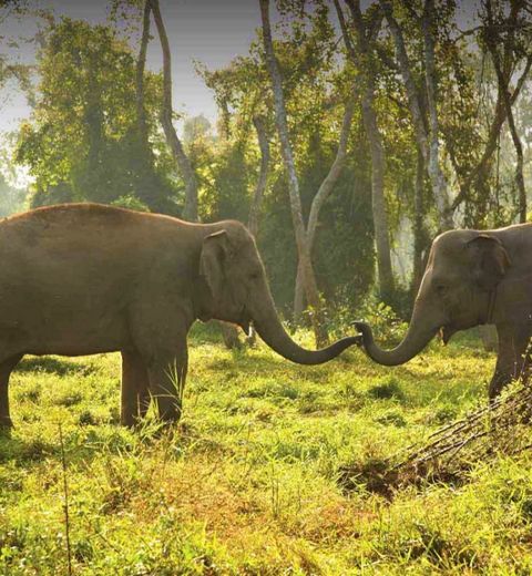 Remarkable Chiang Rai Day Trips 4 Days 3 Nights